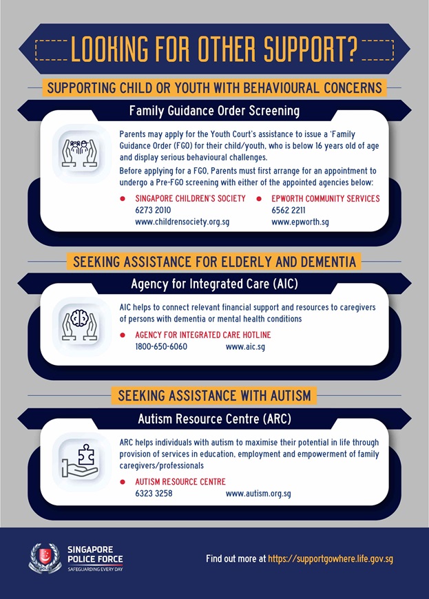 SPF Family Violence A4 Infographic_04