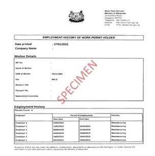 Identification Document Employment History