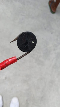 20201017_17_inv_for_theft_dshnst_misapp_and_assisting_in_disposal_of_budget_2020_grocery_vouchers_1