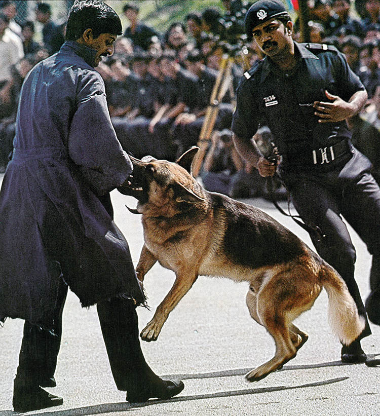 Police Life 042022 A Force Fur the Nation 05