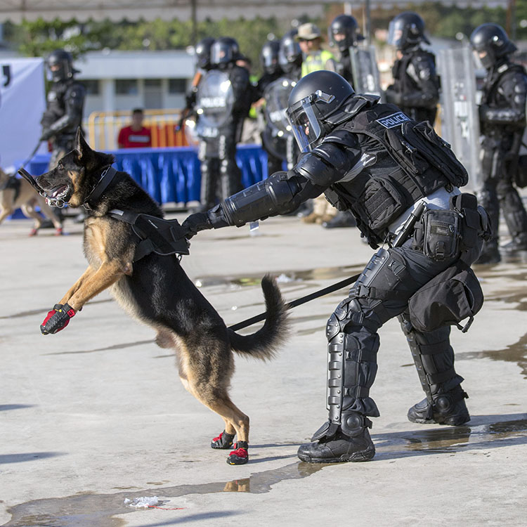 Police Life 042022 A Force Fur the Nation 07