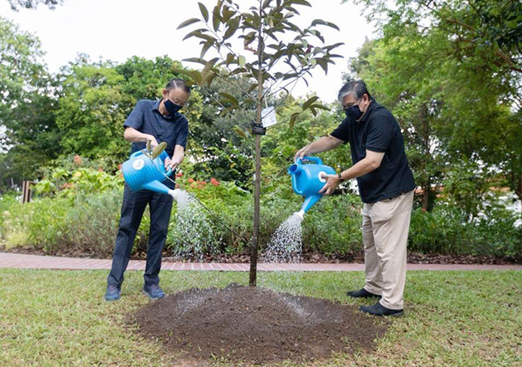 SPF200 tree planting ceremony