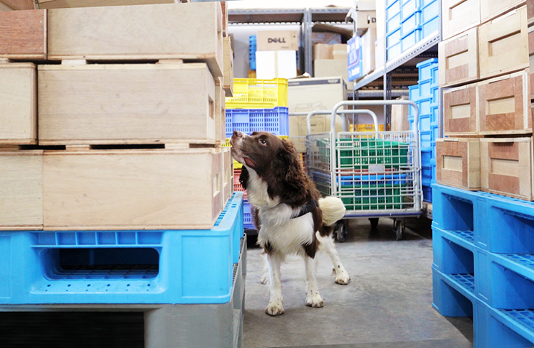 Police Life 032022 Our Capable K-9s 03