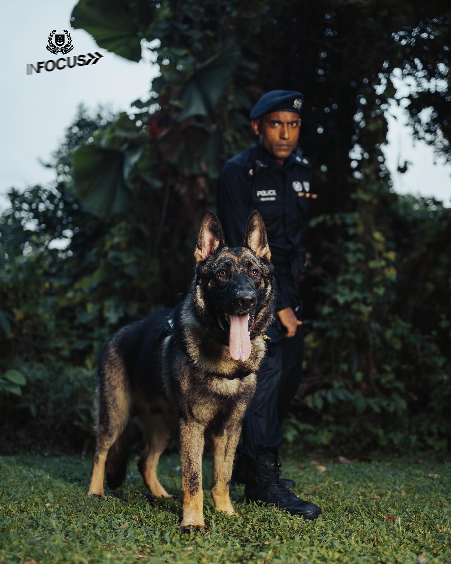 Police Life 052024 In Focus K9 Unit 01