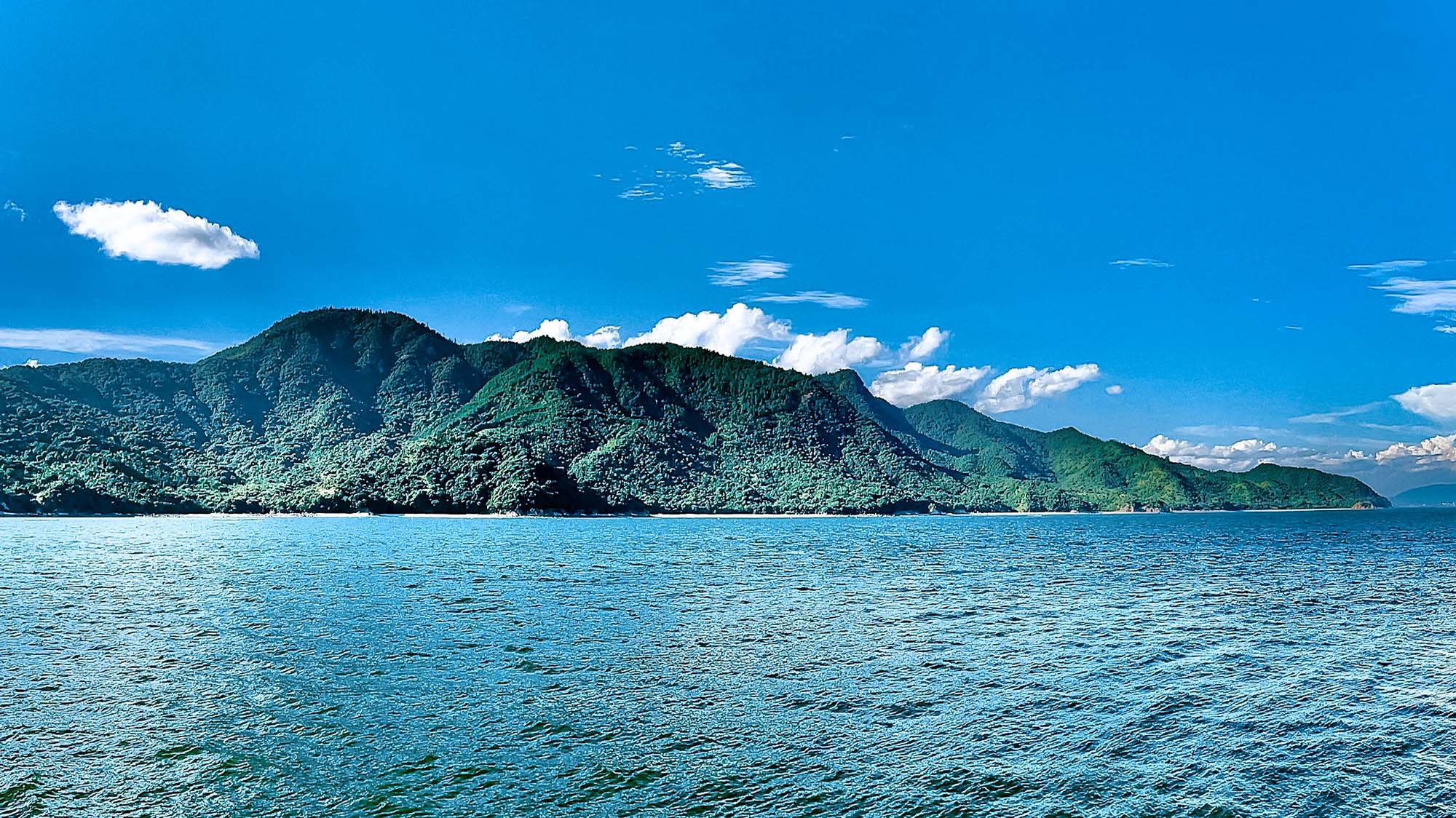 Police Life 122024 Navigating Success My Experience on the KOJIMA 2024 12