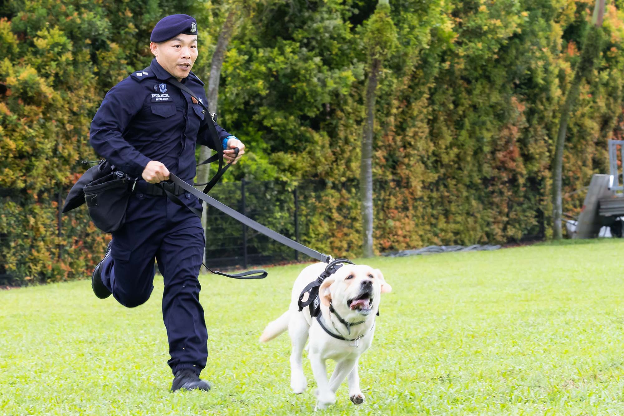 Police Life 112025 70 Years of the Police K9 Unit Taking a Bite out of Crime 01