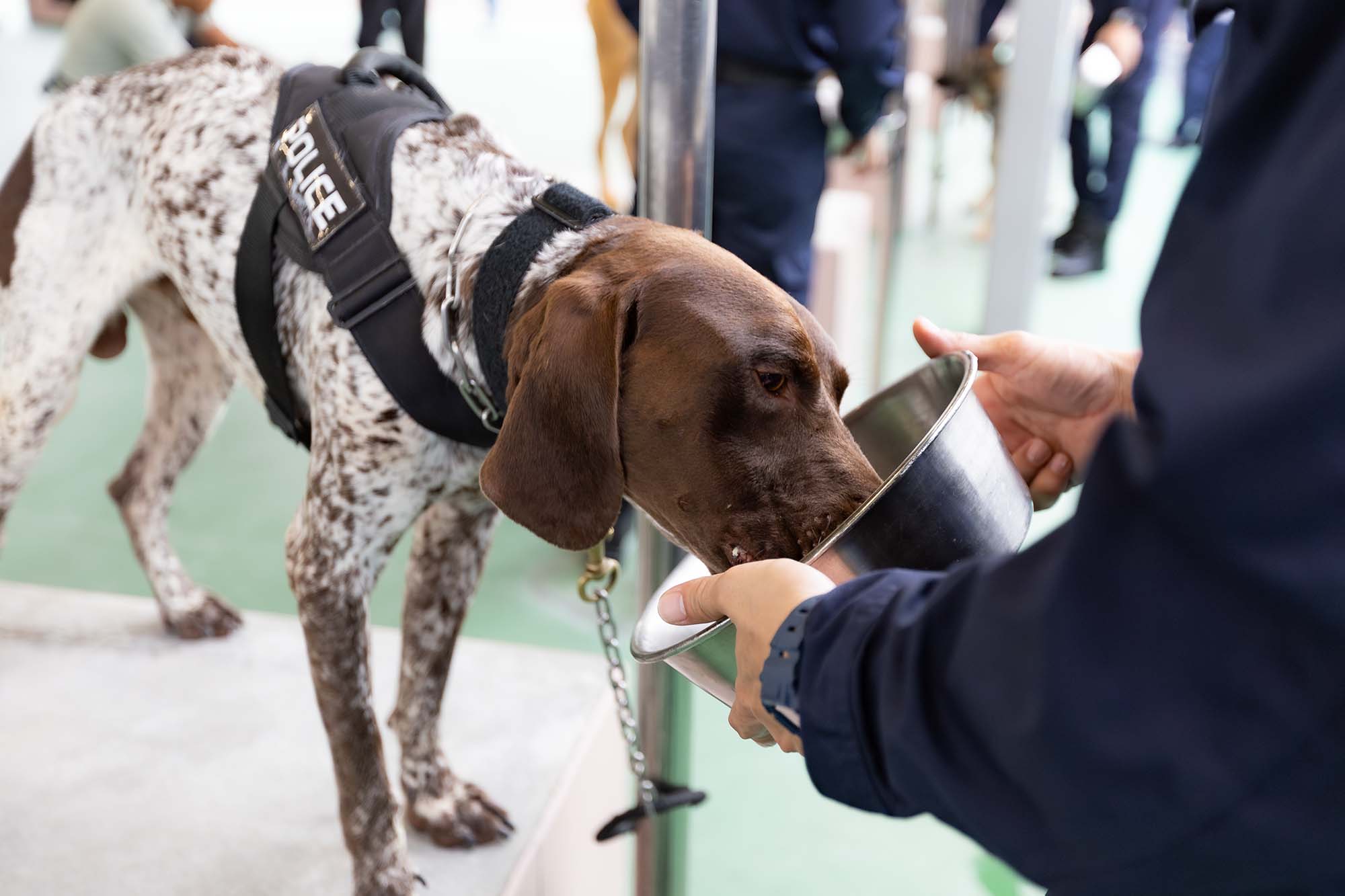 Police Life 112025 70 Years of the Police K9 Unit Taking a Bite out of Crime 05