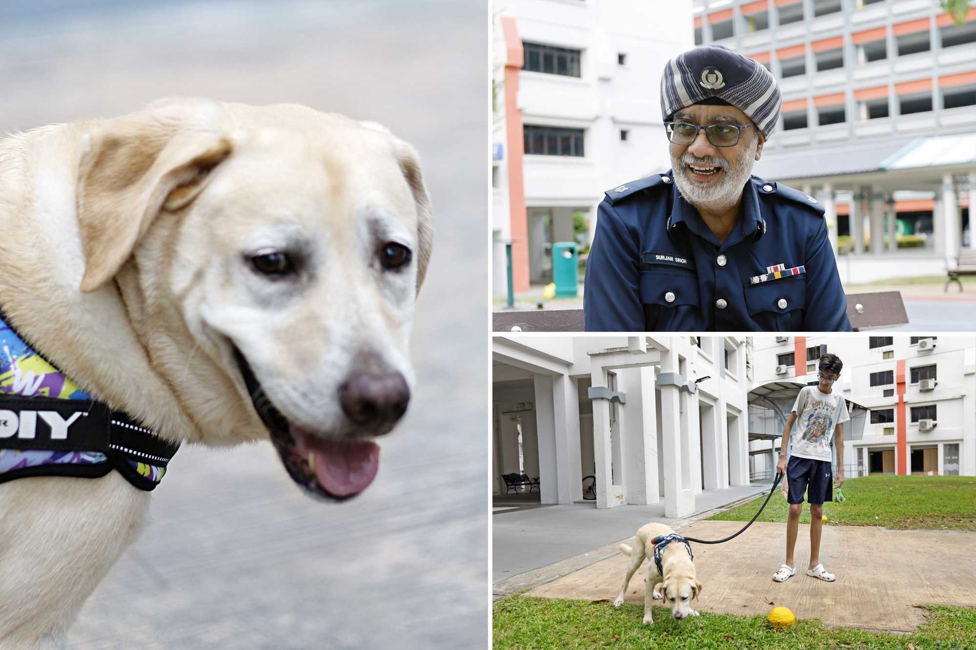 Police Life 012026 Love at First Bark 01