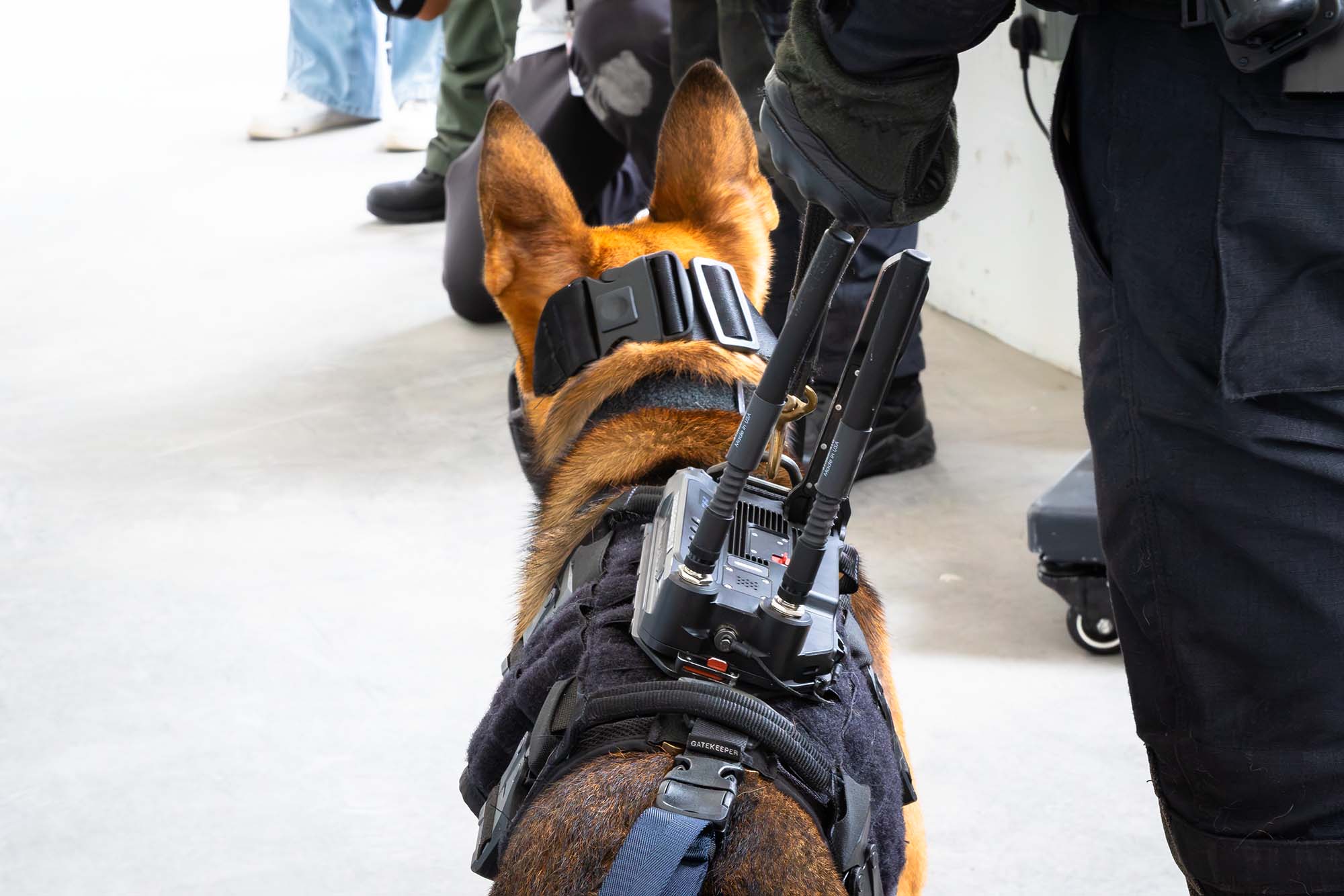 Police Life 062026 Through a K-9s Eyes The Canine-mounted Camera System 03