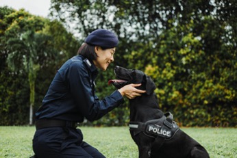 SOC K9