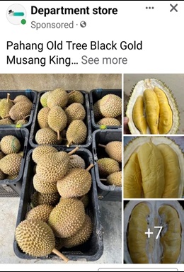 20230306_police_advisory_on_resurgence_in_e-commerce_scams_involving_sale_of_food_items_1