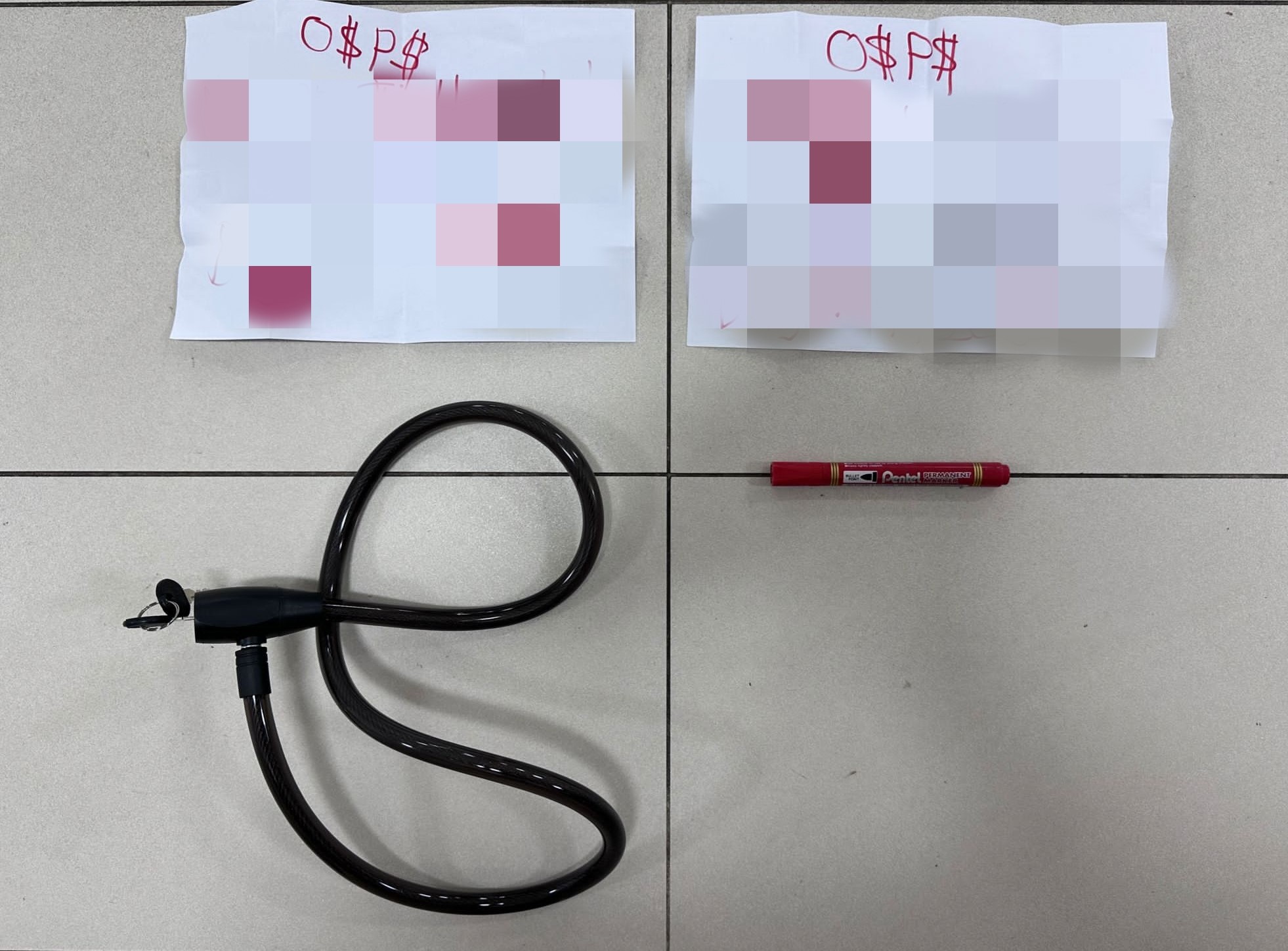 20240130_woman_arrested_for_loanshark_harassment_2