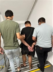 20240711_528_persons_investigated_in_crackdown_on_scams_and_unlicensed_moneylending_activities_2