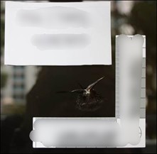 20240725_man_to_be_charged_for_rash_act_and_other_offences_1