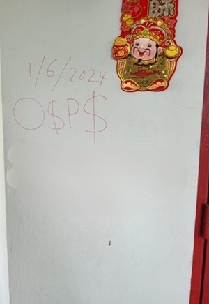 20240607_teenager_arrested_for_loanshark_harassment