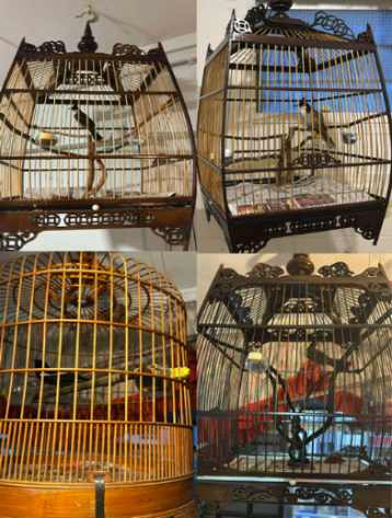 20240920_four_persons_arrested_for_housebreaking_and_theft_1