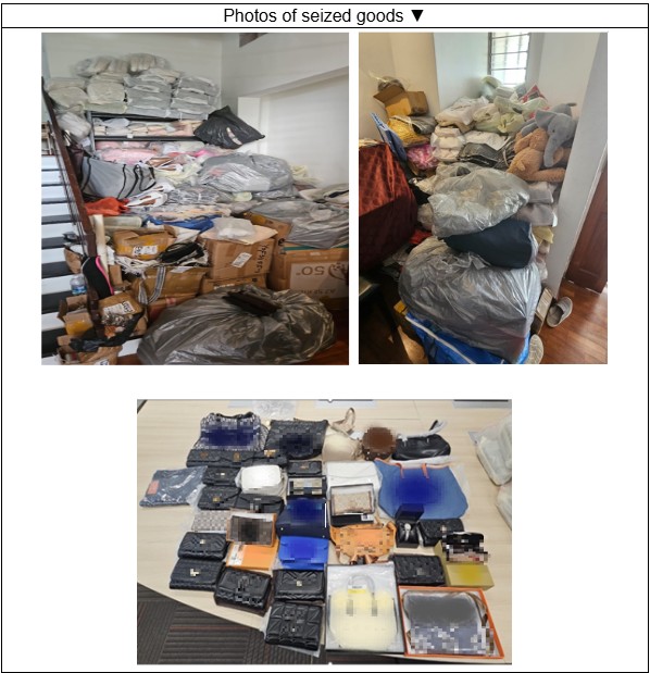 20250624_woman_arrested_for_importation_and_sale_of_counterfeit_items_1