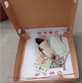 20250325_man_arrested_for_loanshark_harassment_1