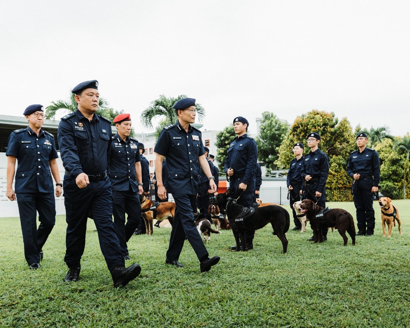 20251104_70th_anniversary_of_the_police_k9_unit_commemorating_the_past_and_transforming_1