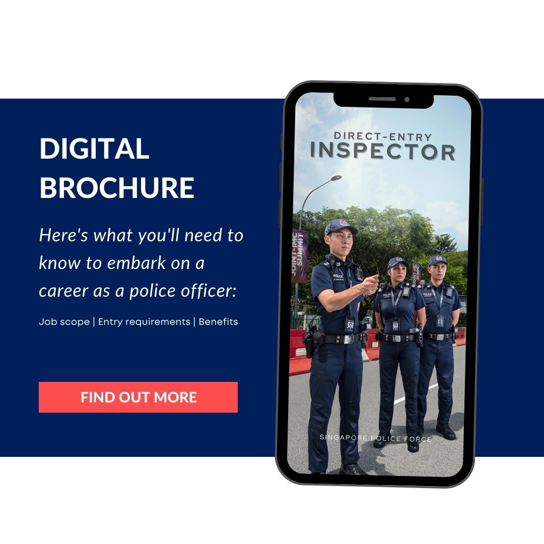 Direct Entry Inspector