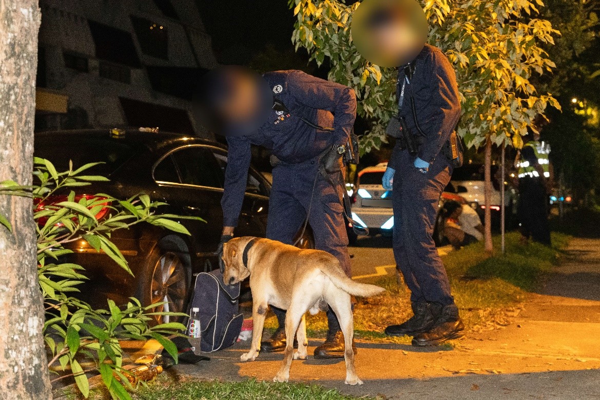 20241113_15_persons_arrested_and_11_persons_under_investigation_multi-agency_enforcement_3