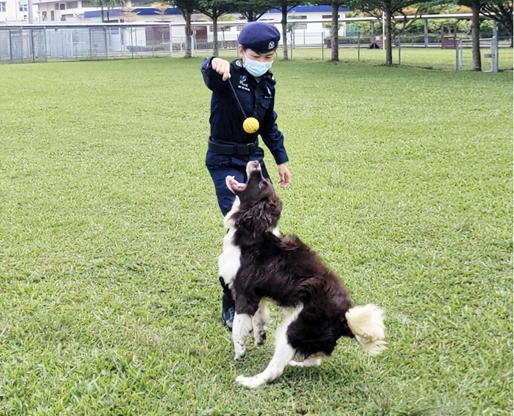 Police Life 032022 Our Capable K-9s 04