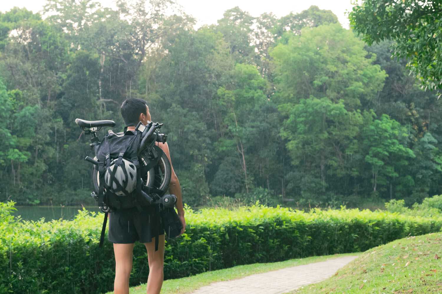 SI Lim carrying his foldable bicycle on his back while walking along a trail amidst green bushes and trees.