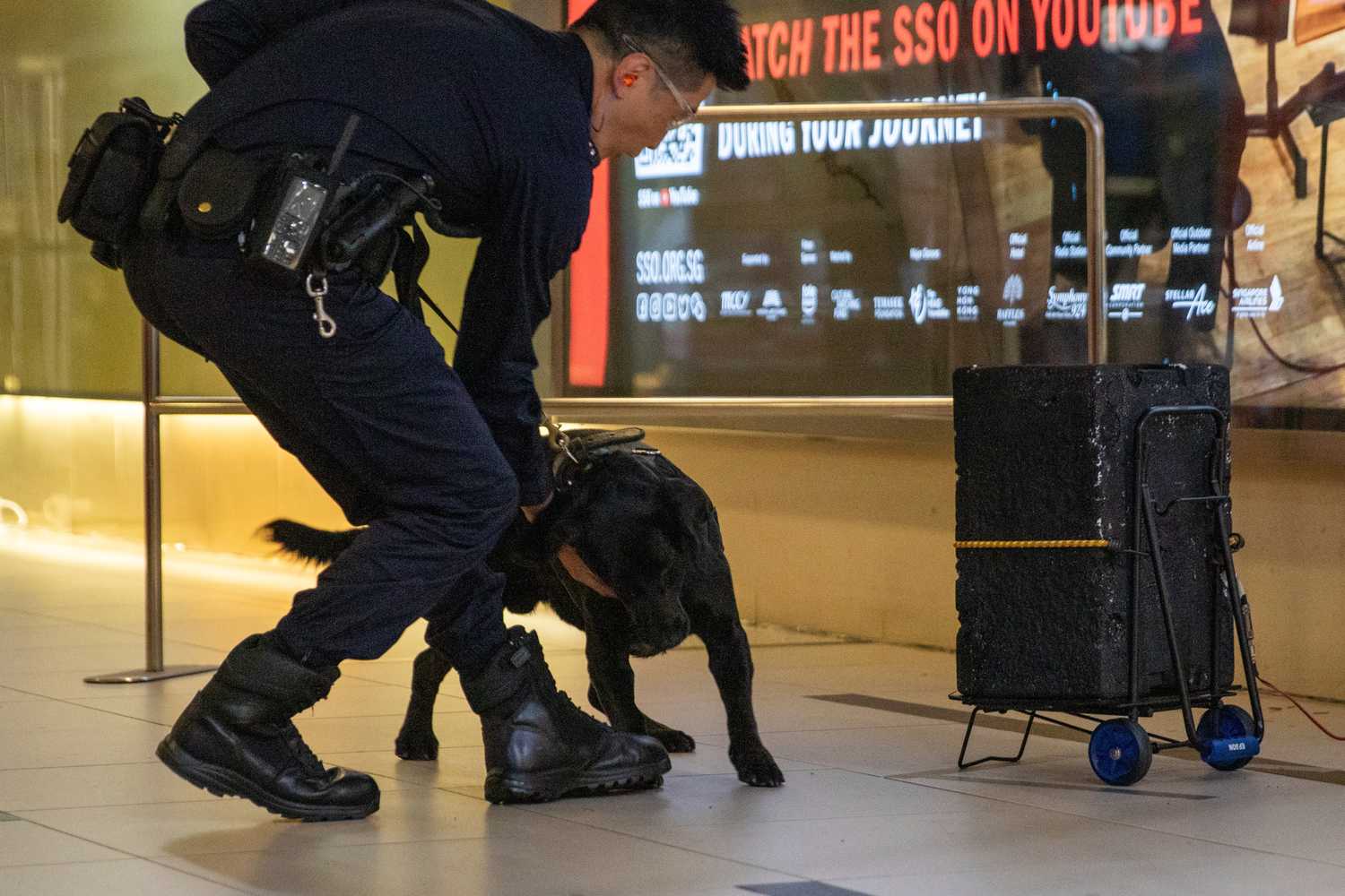 police officer with a k9 dog 