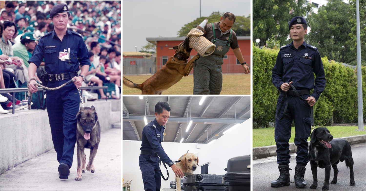 Police Life 082023 K-9 Capabilities Celebrating 70 Years of the SOC 00