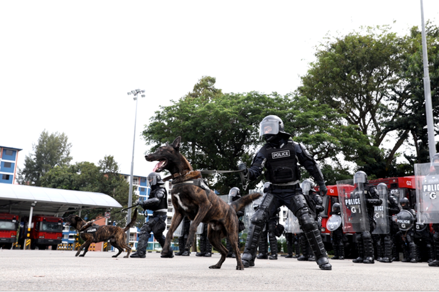 Police Life 082023 K-9 Capabilities Celebrating 70 Years of the SOC 02