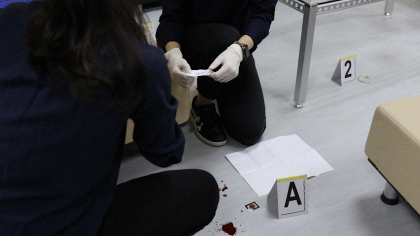A gif showing the hands of two Forensic Specialists squatting on the ground of a mock crime scene. They are coordinating to squeeze solution out of a test tube from a blood screening kit onto a suspected bloodstain to test whether it is real blood.