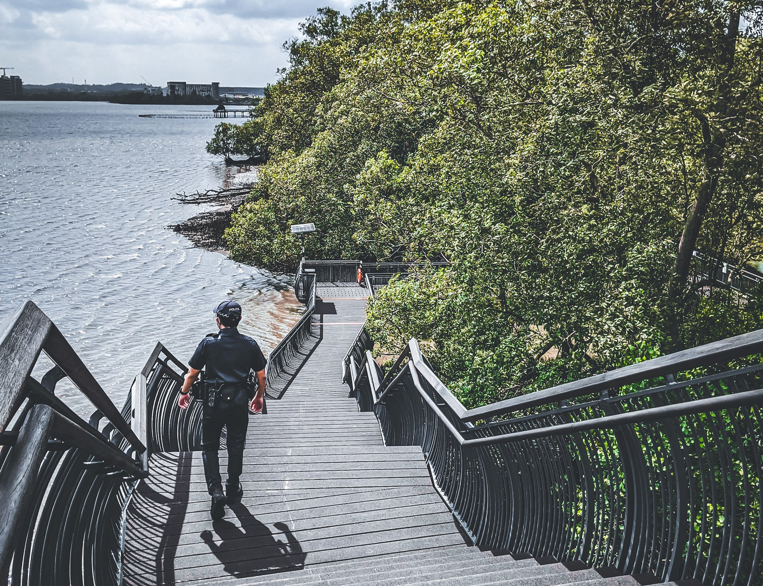 officer walking down a flight of wooden stairs. Infront of him is thick foliage and the sungei buloh reserve