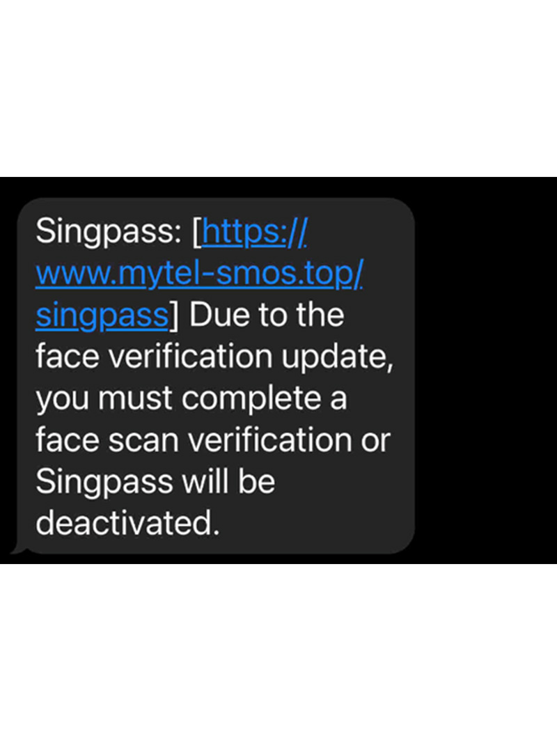 Two Men Arrested For Their Suspected Involvement In Phishing Scam Involving Singpass