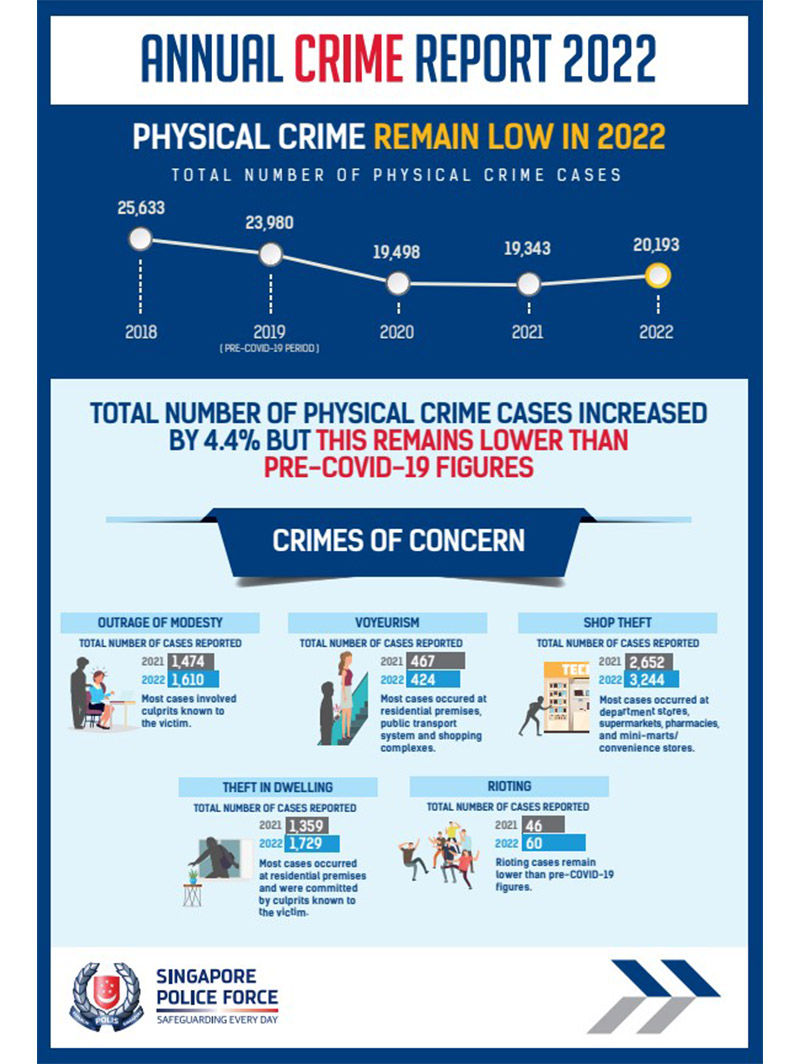 Annual Crime Brief 2022 Infographic