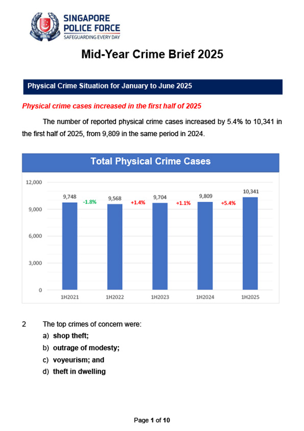 Mid-Year Crime Brief 2025