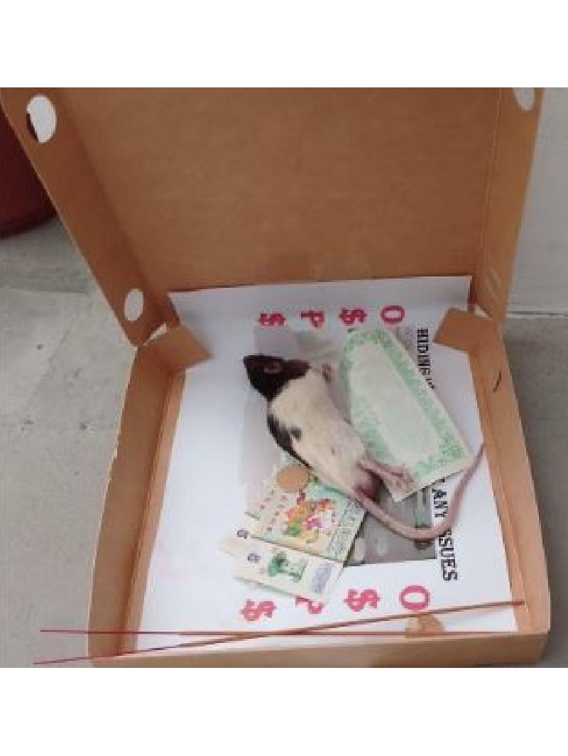 Man Arrested For Loanshark Harassment