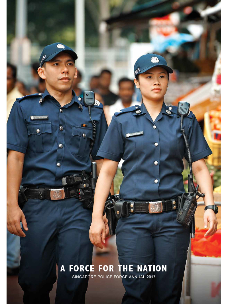 SPF Annual Report 2013