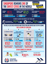 Annual Crime Brief 2020 Infographic