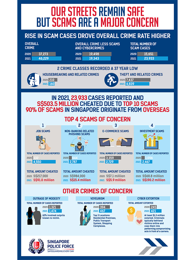Annual Crime Brief 2021 Infographic