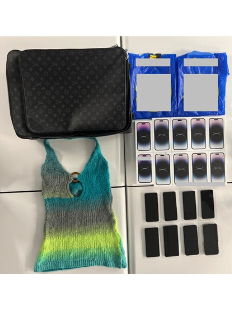Woman Arrested For A Series Of Cheating Cases