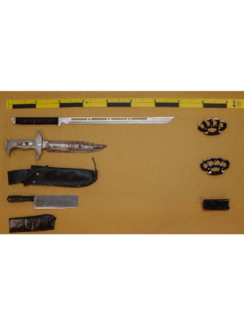 Man Arrested For Various Offences Including Allegedly Attacking And Injuring Police Officers With Stun Device
