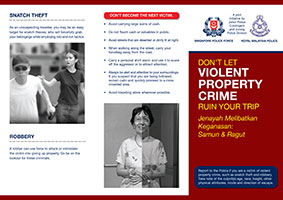 property crime